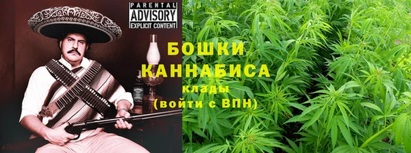 метадон Каменногорск