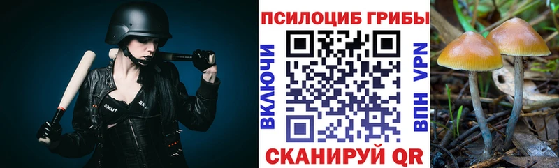Галлюциногенные грибы GOLDEN TEACHER  Иркутск 